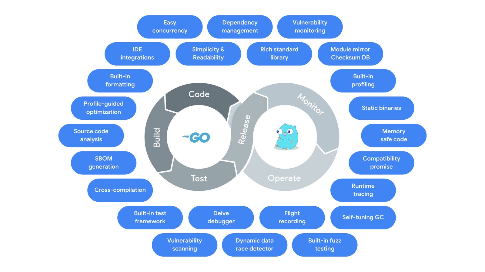 Go's platform spans the entire development lifecycle